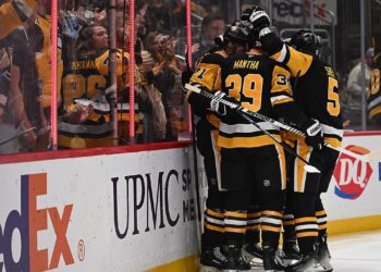NHL fan falls from upper concourse during Penguins game
