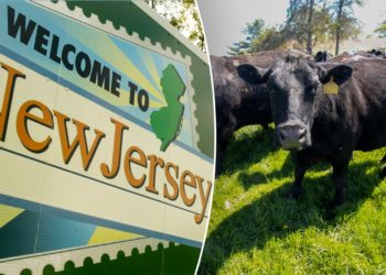 New Jersey family wins battle to save 175-year-old farm from eminent domain