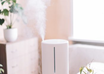 Now’s the Time of Year to Start Running a Humidifier