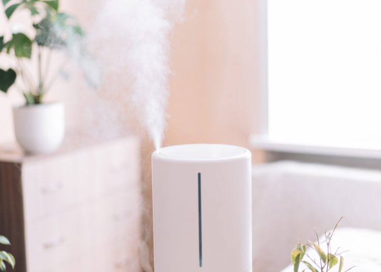 Now’s the Time of Year to Start Running a Humidifier