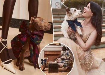 Oscar de la Renta x @SimonSits is the feel-good fashion collaboration you need — for you and your dog