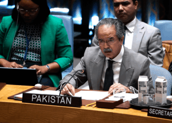 Pakistan’s Year of Diplomatic Miracles