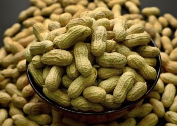 Peanut allergies in children drop following advice to feed the allergen to babies, study finds