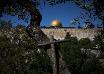 Photos show monks and nuns harvesting olives on the Holy Land’s Mount of Olives