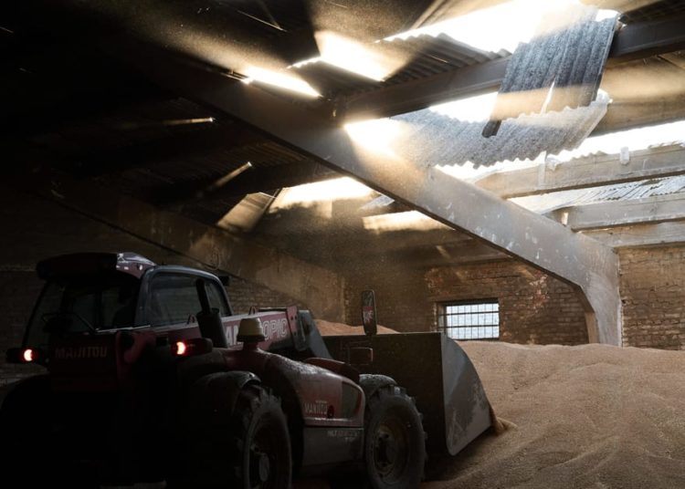 Poland, Hungary and Slovakia defy Brussels as Ukraine trade deal takes effect