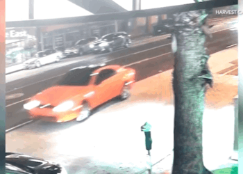 Police continue search for deadly Santa Monica hit-and-run suspect