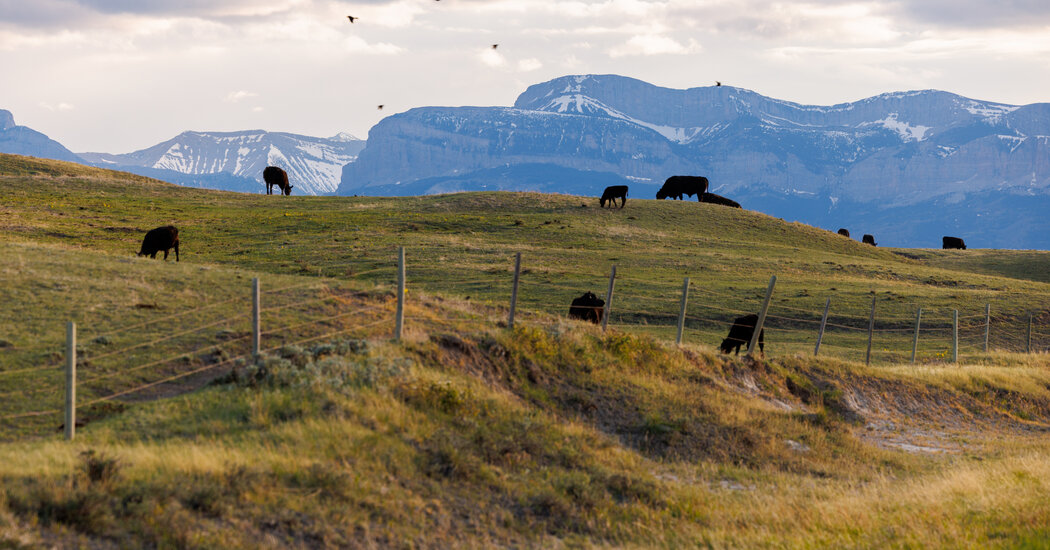 Republicans in Congress Show Signs of Angst Over Trump’s Trade War