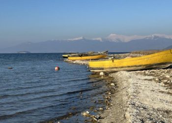Rescuing Lake Prespa through crossborder activism