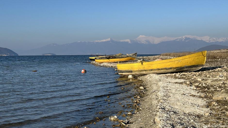 Rescuing Lake Prespa through crossborder activism