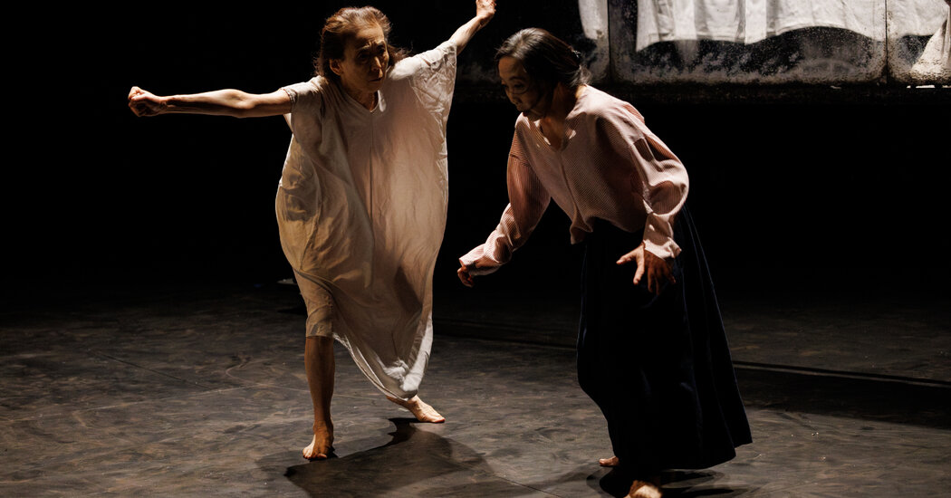 Review: Bodily Traces of War, Expressed Through Dance