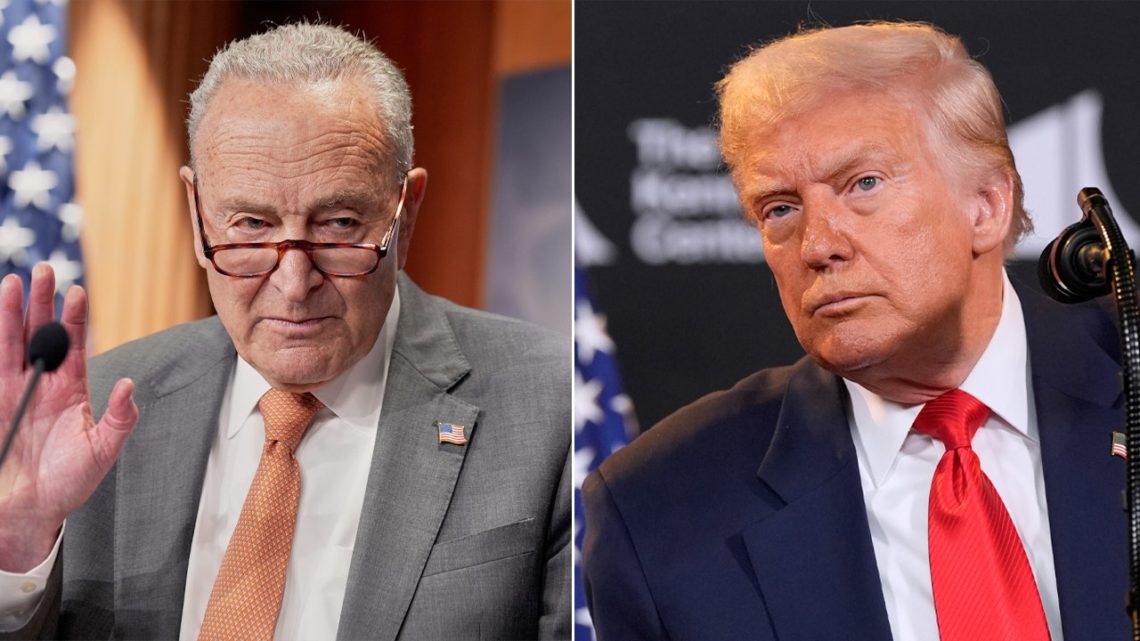 SEN DICK DURBIN: Democrats fighting to protect healthcare while Trump, Republicans play shutdown games