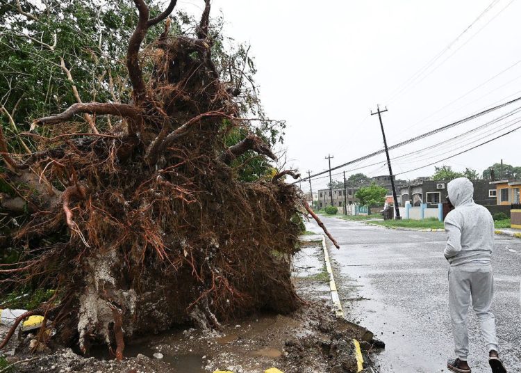 Samaritan’s Purse races to help Jamaica after Category 5 Hurricane Melissa destruction: ‘Not been forgotten’