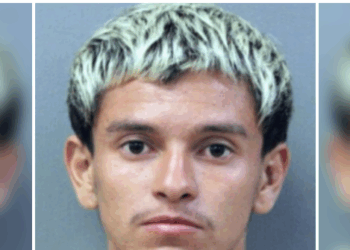 Sanctuary Chicago: ICE Agents Seek Custody of Illegal Alien Accused of Violently Raping Woman