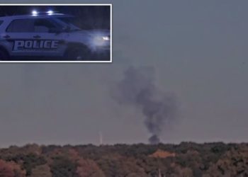 Small plane crashes down in tiny Michigan town, killing 3