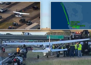 Small plane makes emergency landing on freeway during rush hour: ‘Mayday! Mayday!’