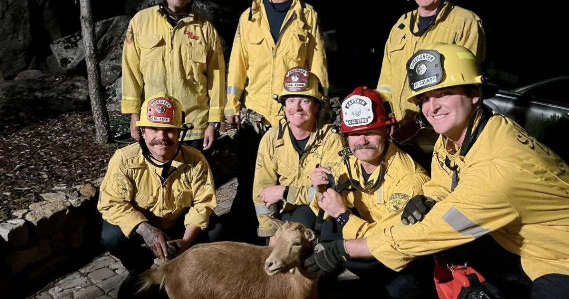 SoCal firefighters rescue goat from baaaad situation trapped between giant boulders