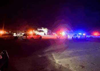 Southern California man arrested for allegedly shooting and killing dog