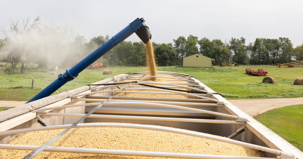 Soybean Farmers Find Relief in U.S. Trade Truce With China