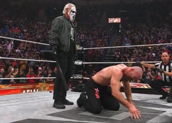 Sting Makes Surprise Appearance at AEW WrestleDream