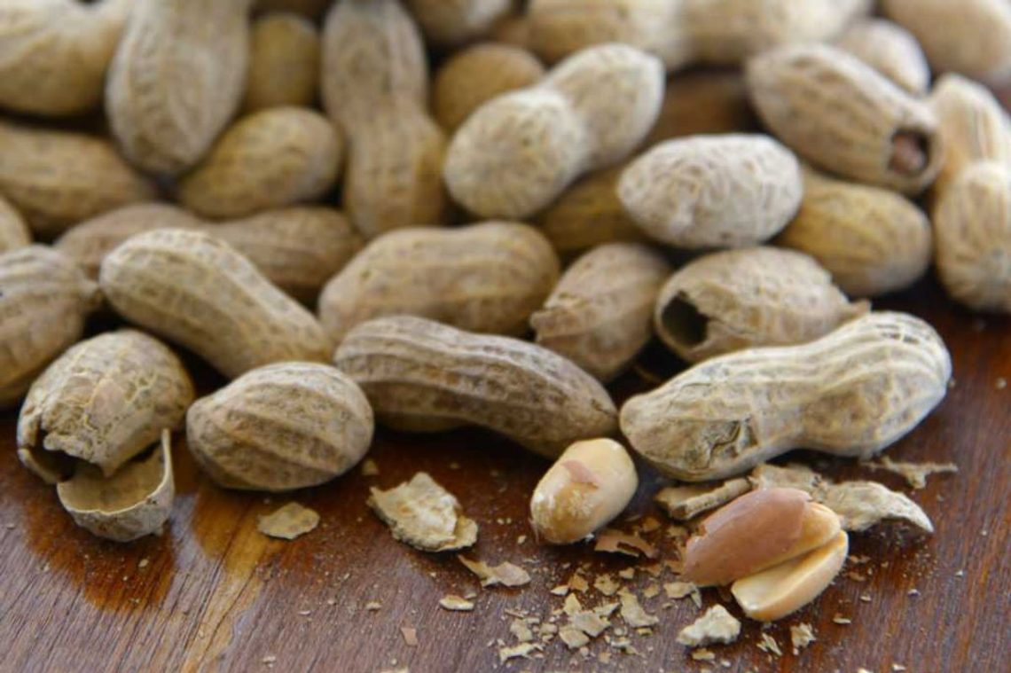 Study shows massive decline in peanut allergies after previous experts proven wrong