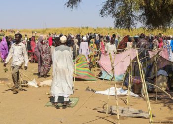 Sudan: UN calls for end of el-Fasher siege in Darfur