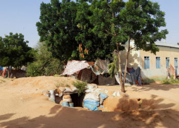 Sudan’s Military Withdraws From Key City in Darfur After Monthlong Battle