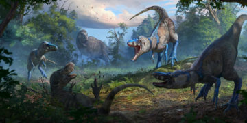 The Case of the Tiny Tyrannosaurus Might Have Been Cracked