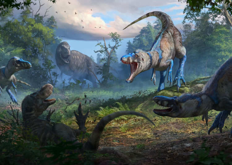 The Case of the Tiny Tyrannosaurus Might Have Been Cracked