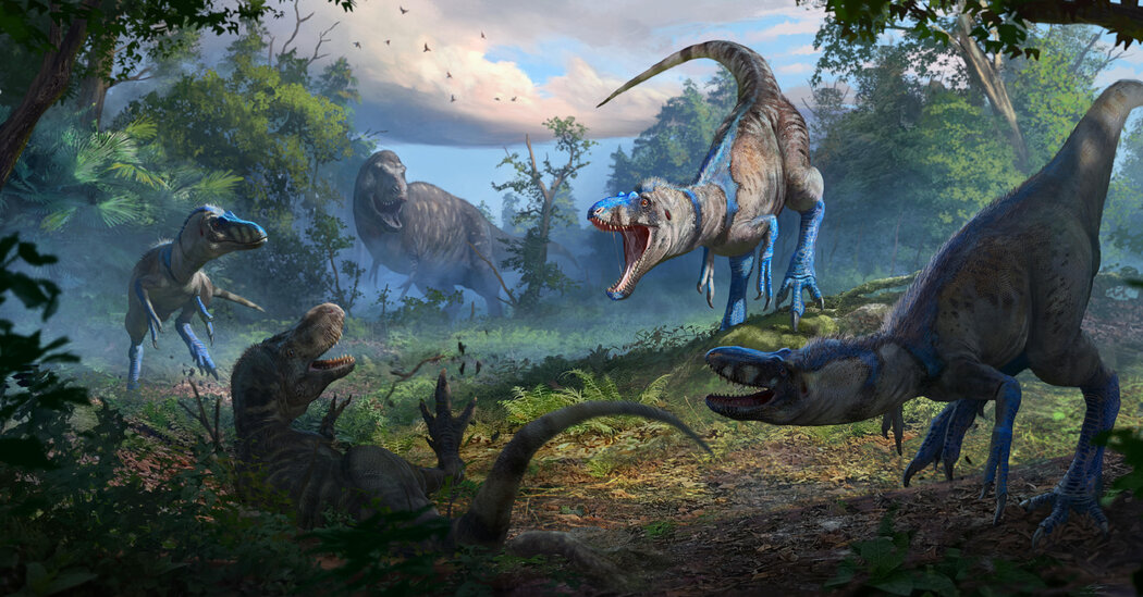 The Case of the Tiny Tyrannosaurus Might Have Been Cracked
