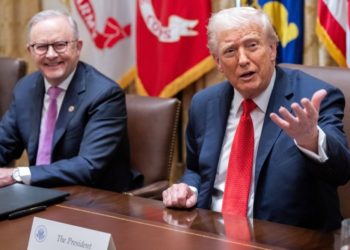 The Countries Courting Trump With Critical Minerals