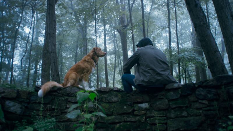 Indy and Shane Jensen in Good Boy.
