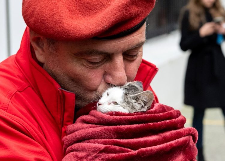 The Internet’s New “Babygirl” is Curtis Sliwa