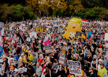 The Rise of the Inflatable Chicken Resistance
