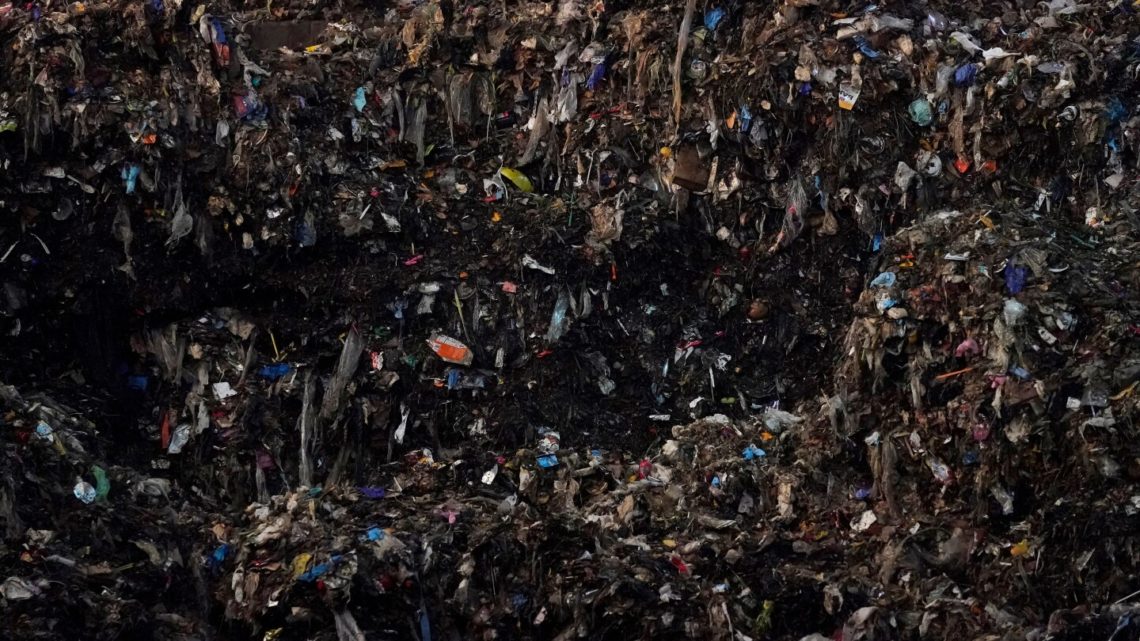The food you toss costs you plenty and emits tons of pollution. We’ve got tips on how to cut down