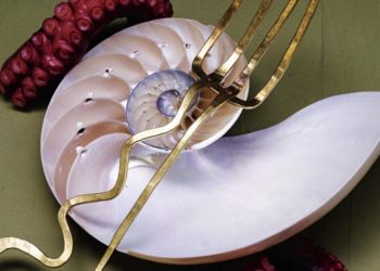 The tide is changing. Indulge in the joys of maximalist, and even impractical, aesthetics