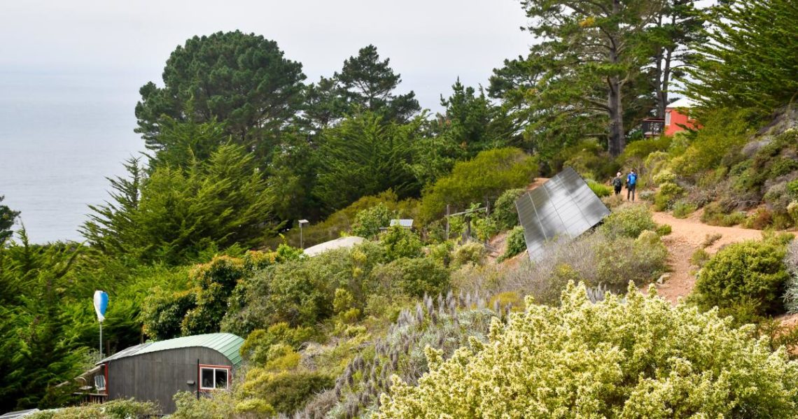 The time is now for a Highway 1 road trip: ‘It’s so rare to experience Big Sur like this’