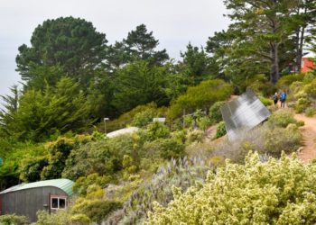 The time is now for a Highway 1 road trip: ‘It’s so rare to experience Big Sur like this’
