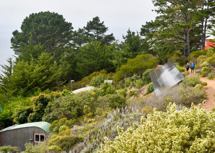 The time is now for a Highway 1 road trip: ‘It’s so rare to experience Big Sur like this’
