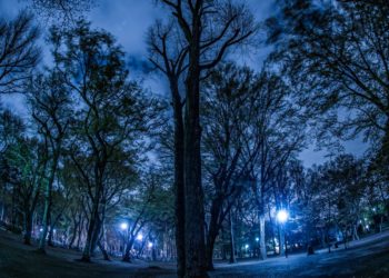 This Company Wants To Turn the Night Sky Into a Giant Solar Panel