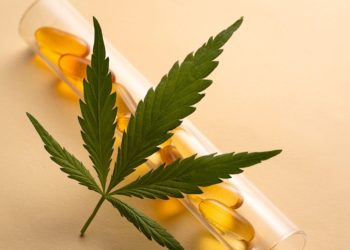 This New Weed Pill Could Kill Your Back Pain Without the High