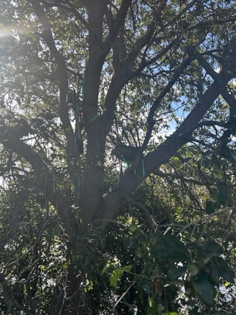The item found by the FBI "During advance security preparations prior to the Palm Beach arrival, which included the use of technology and comprehensive physical sweeps, our teams identified items of interest near Palm Beach International Airport."