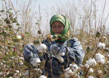 Trump’s Anti-Worker Foreign Policy