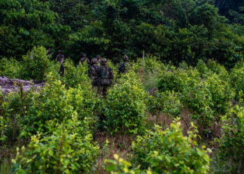Trump’s Feud With Colombian Leader Threatens U.S. Antidrug Efforts