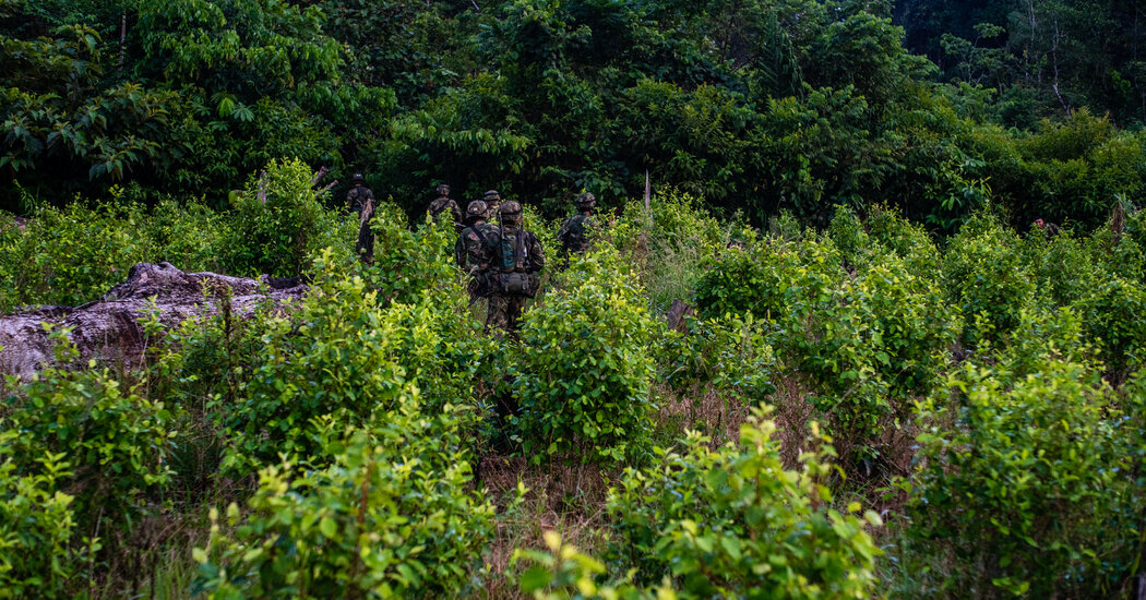 Trump’s Feud With Colombian Leader Threatens U.S. Antidrug Efforts