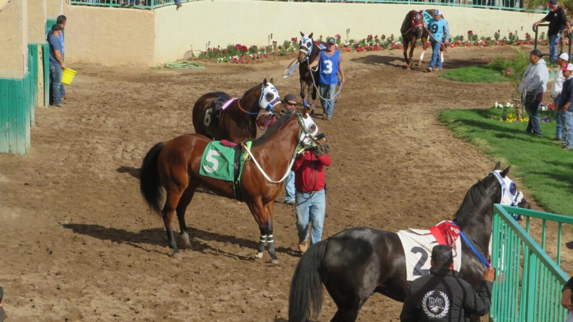 Turf Paradise set to begin 70th season of horse racing in Phoenix
