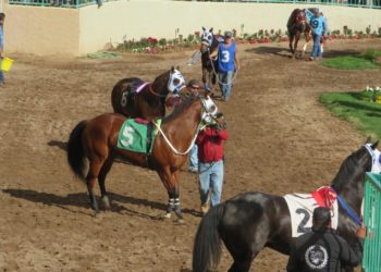 Turf Paradise set to begin 70th season of horse racing in Phoenix