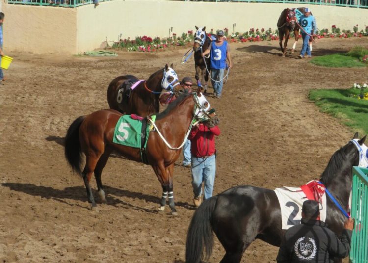 Turf Paradise set to begin 70th season of horse racing in Phoenix