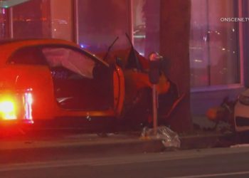 Victims named in deadly Santa Monica hit-and-run crash