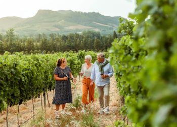 Vineyard owners use Gospel of John metaphor to guide winemaking philosophy