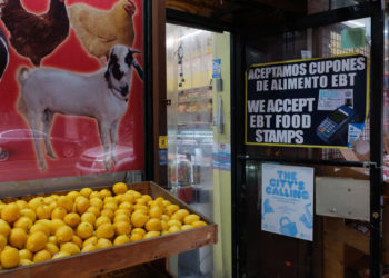 What Is Happening With SNAP Benefits During the Shutdown?